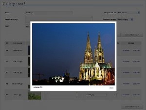 NexGen Gallery